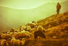 VISITAÇÃO PASTORAL