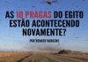 AS 10 PRAGAS DO EGITO ESTÃO ACONTECENDO NOVAMENTE?