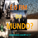 fim1
